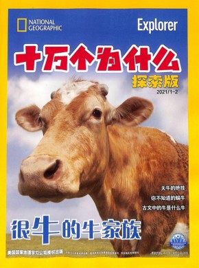 十万个为什么期刊